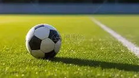 年末消费热潮：政策“组合拳”助力财政补贴与金融支持双管齐下